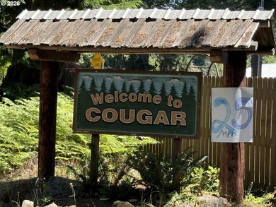 Escape to the mountains and create your own Pacific Northwest - photo 11