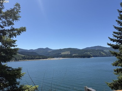 Escape to the mountains and create your own Pacific Northwest - photo 12