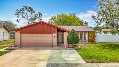 Lake Home Sale Pending in Hudson, Florida
