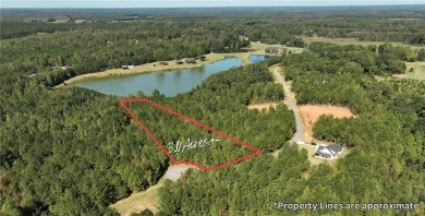 Lake Acreage For Sale in Opelika, Alabama