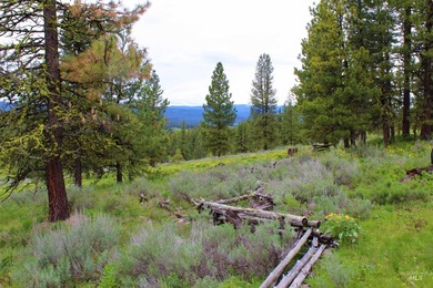 AMAZING, ONE-OF-A-KIND PROPERTY IN AN INCREDIBLY SCENIC AREA - photo 7