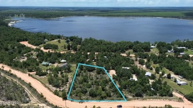 (private lake, pond, creek) Lot For Sale in Chipley Florida
