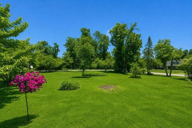 Special spot in Bayside! This darling lannon stone ranch home is - photo 24