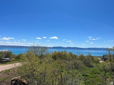 Lake Lot For Sale in Fish Haven, Idaho