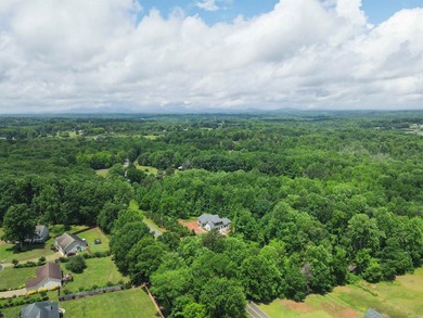 Welcome home to 105 Millstone Dr! This gorgeous home was built - photo 35