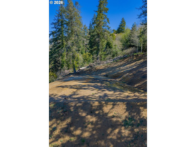 Awesome 1.55-acre buildable property in Coos Bay! Significant - photo 3