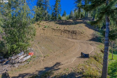 Awesome 1.55-acre buildable property in Coos Bay! Significant - photo 5