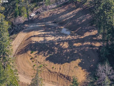 Awesome 1.55-acre buildable property in Coos Bay! Significant - photo 8