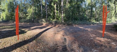 Lake Acreage For Sale in Carthage, Texas