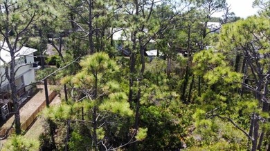 St. George Island BAY VIEW LOT! Build your dream home on this - photo 11