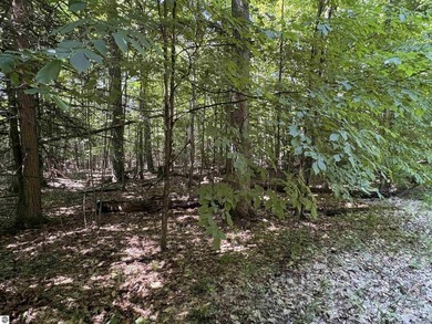 Build your Northern Michigan dream home in one of Suttons Bay's - photo 12