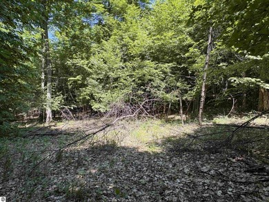 Build your Northern Michigan dream home in one of Suttons Bay's - photo 13