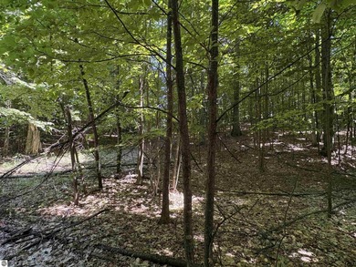 Build your Northern Michigan dream home in one of Suttons Bay's - photo 14