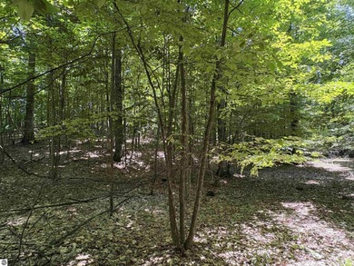 Build your Northern Michigan dream home in one of Suttons Bay's - photo 15