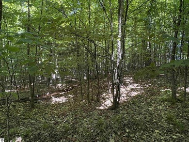 Build your Northern Michigan dream home in one of Suttons Bay's - photo 16