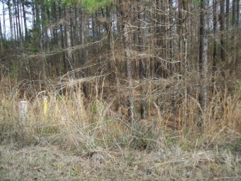Great Waterfront lot for building your Dream Home!  - Lake Lot Sale Pending in Greenwood, South Carolina