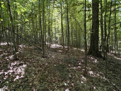 Build your Northern Michigan dream home in one of Suttons Bay's - photo 17