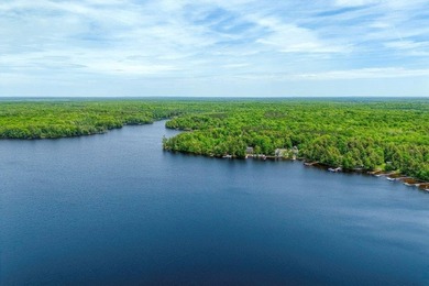 This charming cabin is located on the banks of Enterprise Lake - photo 33