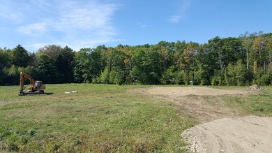 Northport - Lot ready to build on. Well Septic, Power ( Power is - photo 33