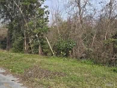 Nearly one acre of land located in an established neighborhood - photo 1