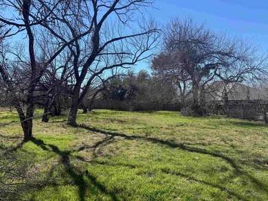 Beautiful level lot located in the heart of Horseshoe Bay Proper - photo 2
