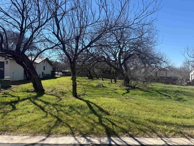 Beautiful level lot located in the heart of Horseshoe Bay Proper - photo 4