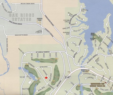 Beautiful level lot located in the heart of Horseshoe Bay Proper - photo 5