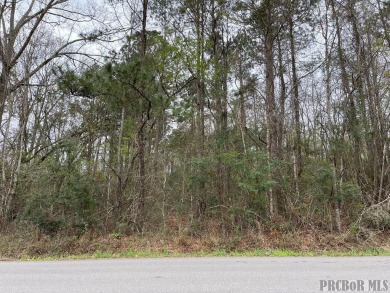 Anchor Lake Lot For Sale in Carriere Mississippi