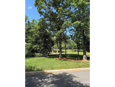 Beautiful level homesite in the Millingport neighborhood of Old - photo 4