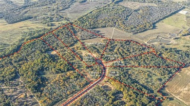 (private lake, pond, coastal) Acreage For Sale in Decatur Texas