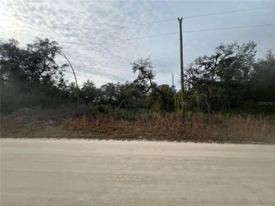 Lake Lot For Sale in Silver Springs, Florida