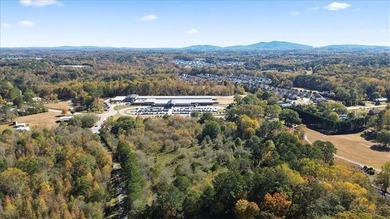 13 Acres, Development Opportunity on Heardsville Rd, Cumming, GA - photo 4
