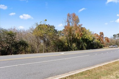 13 Acres, Development Opportunity on Heardsville Rd, Cumming, GA - photo 10