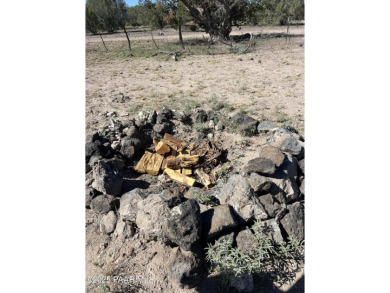 (private lake, pond, creek) Acreage For Sale in Ash Fork Arizona
