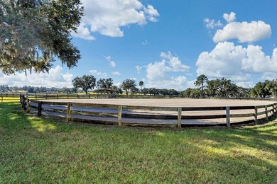 Set atop the high, rolling elevations of Dade City, Sheik Island - photo 11