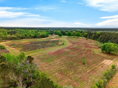 43.76 acres located in Pearl River County offering a private - photo 11