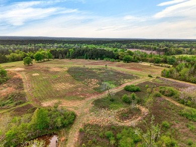 43.76 acres located in Pearl River County offering a private - photo 12