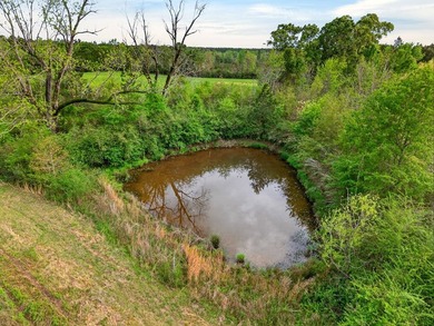 43.76 acres located in Pearl River County offering a private - photo 15