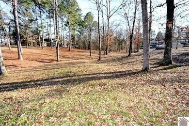 4.89 BEAUTIFUL ROLLING ACRES! WATER VIEWS YR ROUND, 2,000 FT TO - photo 37