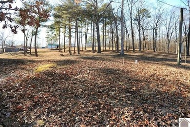 4.89 BEAUTIFUL ROLLING ACRES! WATER VIEWS YR ROUND, 2,000 FT TO - photo 38