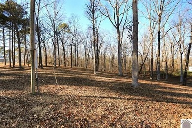 4.89 BEAUTIFUL ROLLING ACRES! WATER VIEWS YR ROUND, 2,000 FT TO - photo 39