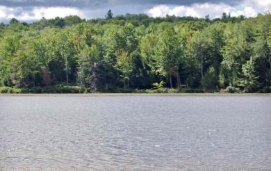 Arbuckle Pond Acreage For Sale in South Colton New York
