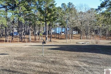 4.89 BEAUTIFUL ROLLING ACRES! WATER VIEWS YR ROUND, 2,000 FT TO - photo 43