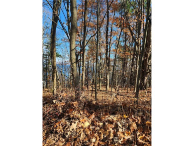 Cayuga Lake Lot For Sale in Romulus New York