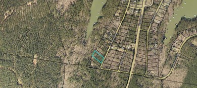 47 acre lakefront lot to build your dream home! This lot is not - Lake Lot For Sale in Lincolnton, Georgia