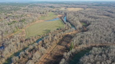 Lake Acreage For Sale in Wilsonville, Alabama