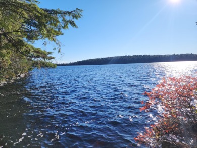 Lake Acreage For Sale in Marion, Maine