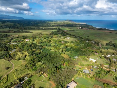 New 5 acre CPR! Close to Beach. Enjoy the lush, tropical - photo 14