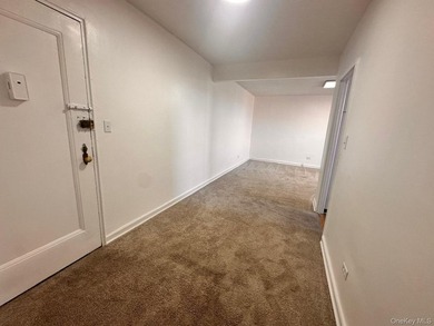 1-bedroom apartment located in Flushing - photo 21