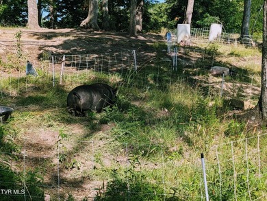 This incredible 84-acre property truly has it all--pastureland - photo 22